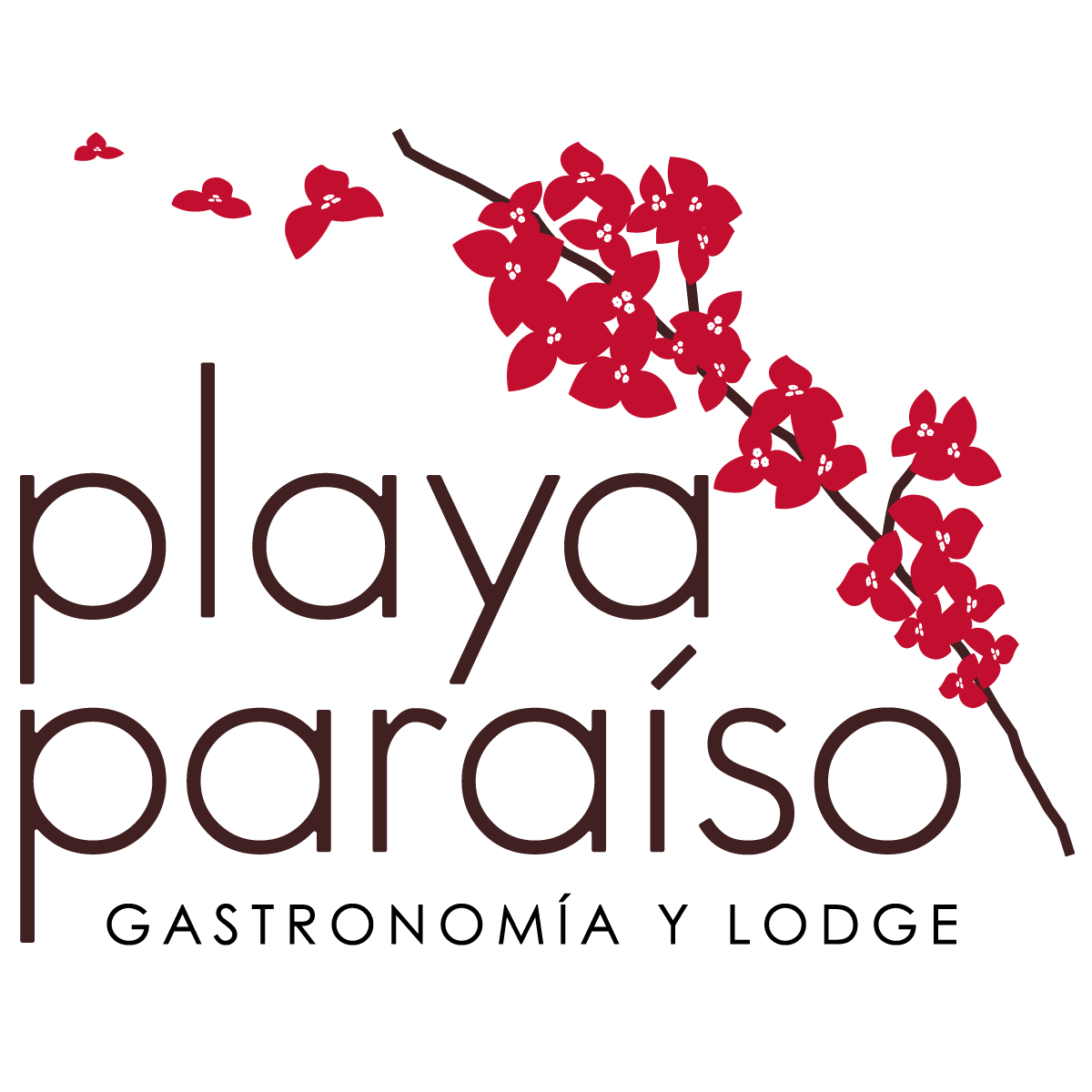 Playa Paraiso logo